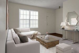 living room canopy south carolina apartments