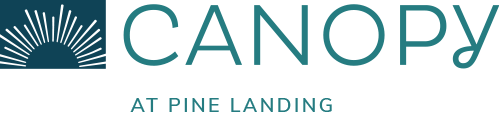 PINE-LANDING overlook at mill creek transparent logo